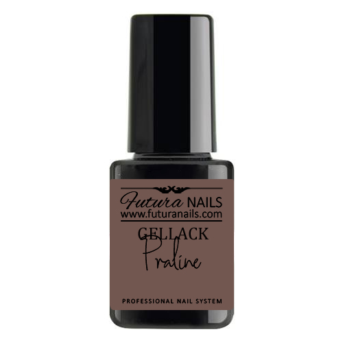 Gellack Praline Gellack Praline